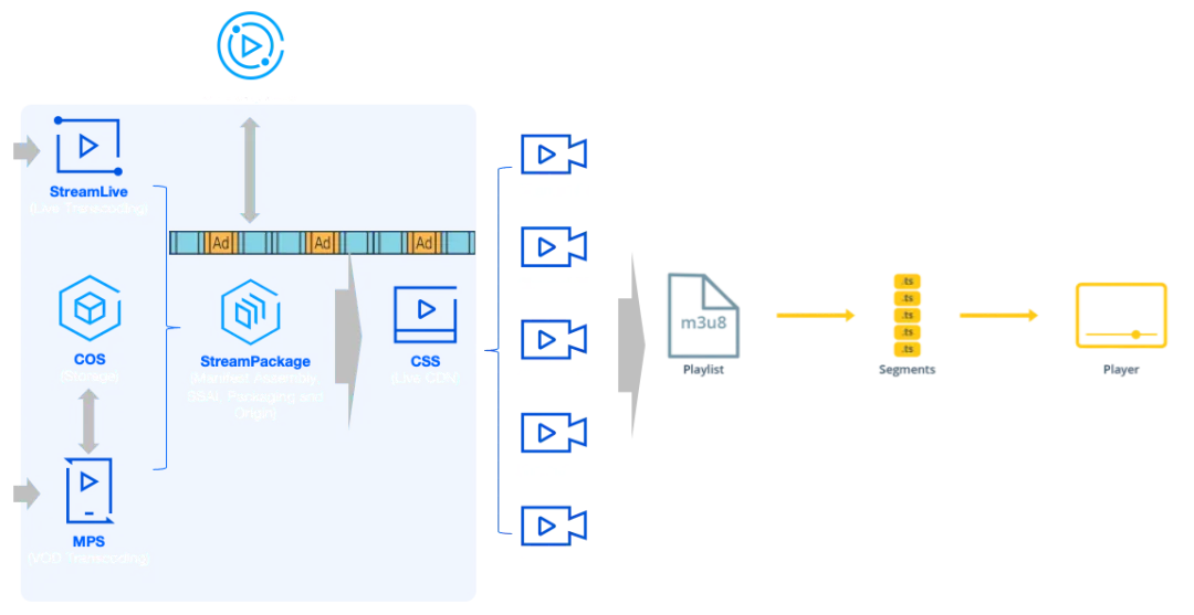 Linear Channel Assembly