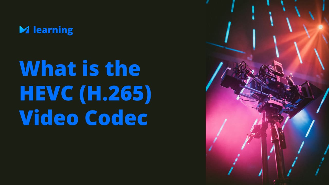 what is the h265 video codec